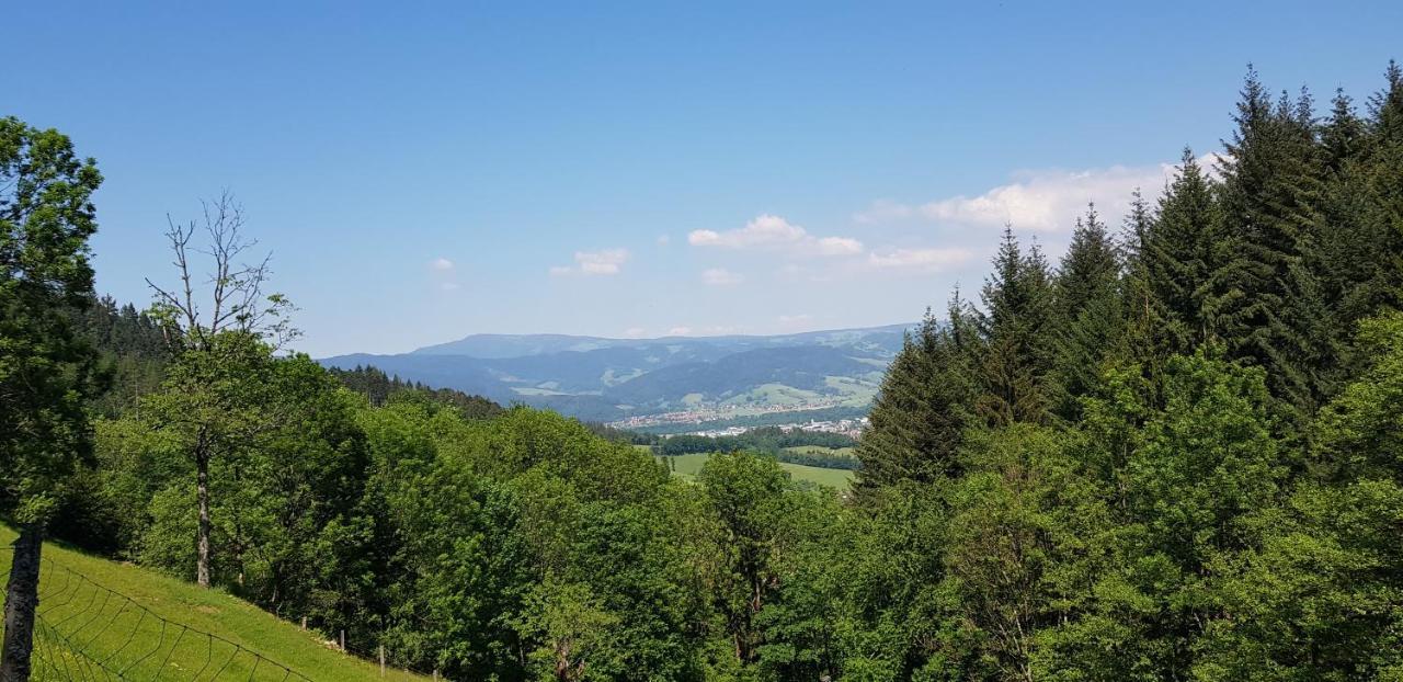 Gasthaus Sternen Post オーベルリート エクステリア 写真